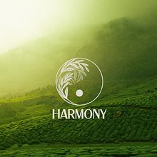 Creacion identidad de marca y packaging de la marca ficticia Harmony. Un proyecto de Diseño, Diseño gráfico y Diseño de producto de Ana Yruela - 03.10.2022
