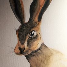 Meu projeto do curso: Técnicas experimentais de aquarela para principiantes. Traditional illustration, Fine Arts, Watercolor Painting, and Naturalistic Illustration project by Diana Santos - 02.25.2023