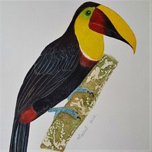 Mi proyecto del curso: Ilustración naturalista de aves con acuarela. Een project van Traditionele illustratie, Aquarelschilderen, Realistische tekening y Naturalistische illustratie van Maribel de la Torre - 03.10.2022