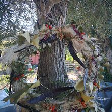 Mi proyecto del curso: Creación de coronas con flores secas. Een project van  Ontwerp, Interieurontwerp, L, scaping, DIY, Bloem- en plantenschikken y Textielontwerp van Marta Fabrellas Carreras - 03.10.2022