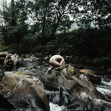 Renacer . Photograph, Portrait Photograph, Studio Photograph, Self-Portrait Photograph, Photographic Lighting, Photo Retouching, Outdoor Photograph, Fine-Art Photograph, Digital Photograph, Instagram Photograph, Photographic Composition, Documentar, and Photograph project by Andrea Torres Sánchez - 10.04.2022