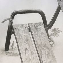 Il·lustració al natural a llapis. Un proyecto de Ilustración tradicional, Dibujo artístico y Dibujo realista de Vinyet Montaña - 04.10.2022