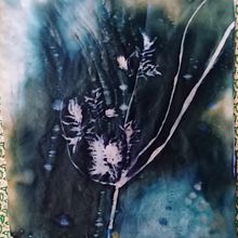 Il mio progetto del corso: Cianotipia: tecnica di stampa con la luce. Arts, Crafts, Fine Arts, Printing, DIY, and Film Photograph project by Bonini Emanuela - 10.04.2022