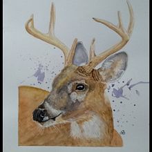 Meu projeto do curso: Retratos expressivos de animais em aquarela. Projekt z dziedziny Trad, c, jna ilustracja, Malowanie akwarelą, R, sunek realist, czn, Ilustracja naturalist i czna użytkownika Cristina Colato - 05.10.2022