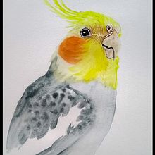 Aquarela naturalista com expressão . Projekt z dziedziny Trad, c i jna ilustracja użytkownika Cristina Colato - 05.10.2022