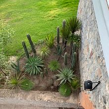 Proyecto residencial . Un proyecto de Paisajismo de Gloria Sosa - 05.10.2022