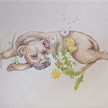 My project for course: Surrealist Illustration Inspired by Nature. Un progetto di Illustrazione tradizionale, Disegno a matita, Disegno, Disegno artistico, Illustrazione naturalistica e Disegno con matite colorate di Robyn Hampson - 06.10.2022