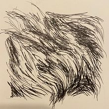 Practicing Pine cone scales and fur with ink and graphite. Traditional illustration project by Susan Sarabasha - 10.06.2022