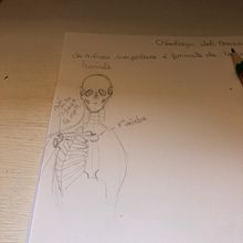 Corso Disegno. Drawing project by Giovanna Briano - 10.05.2022