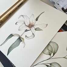 Meu projeto do curso: Desenho e composição naturalista em aquarela. Projekt z dziedziny Trad, c, jna ilustracja,  R, sunek, Malowanie akwarelą, Ilustracja naturalist i czna użytkownika anamorse - 07.10.2022