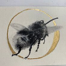 My project for course: Illustrating the Natural World with Watercolor and Charcoal. Un progetto di Illustrazione tradizionale e Illustrazione naturalistica di Mary Ann - 07.10.2022