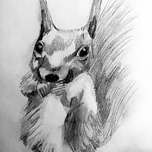 My project for course: Naturalistic Animal Drawing with Graphite Pencil. Traditional illustration, Pencil Drawing, Drawing, and Naturalistic Illustration project by skylar756 - 10.08.2022