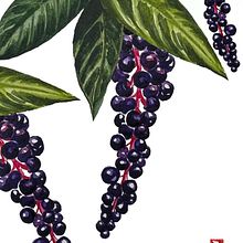 My project for course: Botanical Illustration with Watercolors. Traditional illustration, Fine Arts, Painting, Drawing, Watercolor Painting, and Botanical Illustration project by Elena Oguchi - 10.08.2022