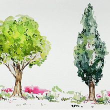 My project for course: Botanical Watercolor Sketchbook. Traditional illustration, Watercolor Painting, Botanical Illustration, and Sketchbook project by Elena Oguchi - 10.08.2022
