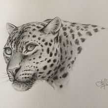 Traditional. Un progetto di Disegno di ritratti di Stephane Crayssac - 02.02.2017