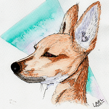 MAYLO. Traditional illustration project by Luis Alejandro Robayo León - 10.08.2022