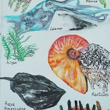 Mi proyecto del curso: Técnicas de ilustración para desbloquear tu creatividad. Design, Fine Arts, Painting, Creativit, Creating with Kids, Sketchbook, and Traditional illustration project by mar clavé maresca - 10.12.2022