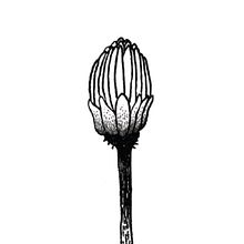 Sama zrobi kwiaty. Un progetto di Fumetto, Illustrazione tradizionale e Belle arti di Agata Hop - 12.05.2018