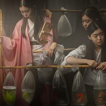 Asian series . % Alisa Sibirskaya tarafından hazırlanan Fotoğrafçılık, Sanat Yönetmenliği, Fotoğraf Post Prodüksi, on, Fotoğraf Rötuşlama, Fotoğrafik A, dınlatma, Dijital Fotoğrafçılık, Güzel Sanatlar Fotoğrafçılığı, Ve Fotomontaj projesi - 10.10.2022