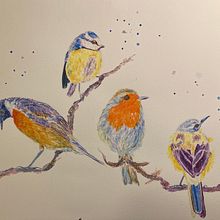 My project for course: Artistic Watercolor Techniques for Illustrating Birds. Projekt z dziedziny Trad, c, jna ilustracja, Malowanie akwarelą, R, sunek realist, czn, Ilustracja naturalist i czna użytkownika Vince Burkardt - 10.10.2022