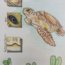 My project for course: Daily Sketching for Creative Inspiration Ein Projekt aus dem Bereich Traditionelle Illustration, Skizzenentwurf, Kreativität, Zeichnung und Sketchbook von Christie - 10.10.2022