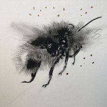 My project for course: Illustrating the Natural World with Watercolor and Charcoal. Traditional illustration, Painting, and Naturalistic Illustration project by Patricia Hillis - 10.08.2022