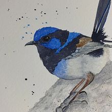 Some Birds that I've painted since learning from Sarah. Projekt z dziedziny Trad, c, jna ilustracja, Malowanie akwarelą, R, sunek realist, czn, Ilustracja naturalist i czna użytkownika Megan Gettens - 11.10.2022
