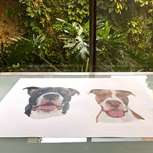 Bruno y Emma. Un progetto di Illustrazione tradizionale, Disegno di ritratti, Disegno realistico, Disegno con matite colorate e Disegno di Camila Correa Castro - 09.08.2020