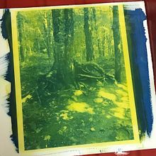 My project for course: Gum Bichromate: Alternative Photo Printing. Un projet de Artisanat, Beaux Arts, Estampe, DIY , et Photographie argentique de Lise Vézina - 11.10.2022