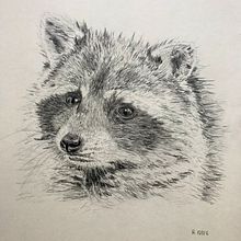Mein Abschlussprojekt für den Kurs: Realistische Tierporträts mit Bleistift. Projekt z dziedziny Trad, c, jna ilustracja, R, sunek ołówkiem,  R, sunek, Ilustracja naturalist i czna użytkownika henrikeboedler - 12.10.2022