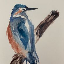 Bird in watercolours. Un progetto di Illustrazione tradizionale di siobhankelly98 - 12.10.2022