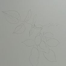 Mi proyecto del curso: Dibujo botánico realista en acuarela. Design, Traditional illustration, Fine Arts, Painting, Watercolor Painting, and Botanical Illustration project by mrherasfortuny - 10.12.2022