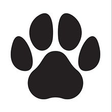 HI-PAW. UX / UI, Information Design, Cop, writing, and App Design project by joanaffribeiro - 10.07.2022