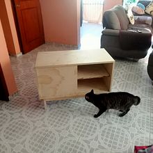 Mi proyecto del curso: Diseño y construcción de muebles para principiantes. Projekt z dziedziny Craft, Projektowanie i w, rób mebli, Projektowanie wnętrz, DIY i Obróbka drewna użytkownika mauriciosooto - 12.10.2022