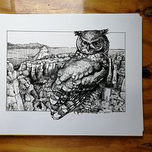 My project for course: Dip Pen and Ink Illustration: Capturing The Natural World. Esboçado, Desenho, Desenho artístico, Sketchbook, Ilustração com tinta e Ilustração naturalista projeto de Sandra Meyer - 13.10.2022
