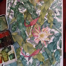 Flora de mi Region . Traditional illustration project by María Laura Gonzalez - 10.13.2022