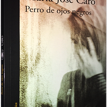  Perro de ojos negros. Un progetto di Scrittura e Scrittura di narrativa fiction di María José Caro - 14.10.2022