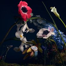 Lacroix - Forêt enchantée. Un proyecto de Fotografía de Florie Berger - 14.10.2022