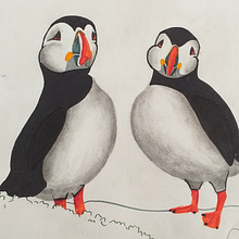 DA- Dos animales (Frailecillos y gekko). Drawing, Pencil Drawing, Realistic Drawing, Artistic Drawing, Figure Drawing, Colored Pencil Drawing, Traditional illustration, Creativit, Botanical Illustration, and Naturalistic Illustration project by Stephanie W - 10.14.2022