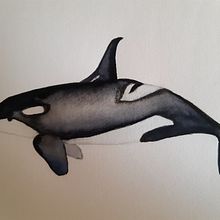 Il mio progetto del corso: Tecniche di illustrazione naturalistica: balene ad acquerello. Traditional illustration, Poster Design, Digital Illustration, and Manga project by Assunta Maria - 10.14.2022