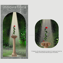 Mi proyecto del curso: Introducción al diseño de espacios efímeros. Retail Design, and Spatial Design project by Innovaflora - 10.13.2022