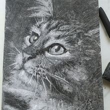 gato carboncillo. Projekt z dziedziny R, sunek realist i czn użytkownika msanzalcaraz - 15.10.2022