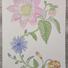 Mi proyecto del curso: Acuarela realista para composiciones botánicas. Projekt z dziedziny Trad, c, jna ilustracja,  Malarstwo,  R, sunek, Malowanie akwarelą, R i sunek botaniczn użytkownika Noelia Rojas - 15.10.2022