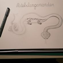 De nieuw samengestelde dieren. Un progetto di Illustrazione tradizionale di Jeroen Martens - 15.10.2022