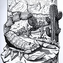 Meu projeto do curso: Ilustração com tinta e bico de pena: registre o mundo natural. Un proyecto de Bocetado, Dibujo, Dibujo artístico, Sketchbook, Ilustración con tinta e Ilustración naturalista				 de Well Gama - 16.10.2022