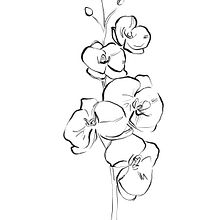 My project for course: Botanical Tattoo with Pointillism . % Kanishka Tripathi tarafından hazırlanan Geleneksel illüstrasyon, Dövme Tasarımı, Ve Botanik İllüstrasyon projesi - 10.15.2022