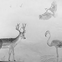 Proyecto 2 BA Composición de animales. Traditional illustration, and Pencil Drawing project by Ivet Martínez - 10.18.2022