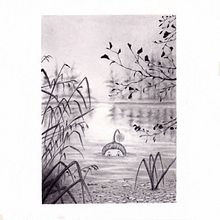 My project for course: Artistic Illustration Techniques with Graphite Pencils. Projekt z dziedziny Trad, c, jna ilustracja,  Sztuki piękne, R, sunek ołówkiem,  R, sunek,  R, sunek art, st, czn, Ilustracja w i dawnicza użytkownika Claudia Colombo - 18.10.2022