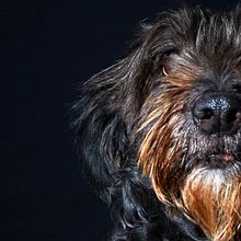 Lola, Rodolfo y Waira y la Pepa. Un projet de Photographie de fvignatti - 18.10.2022