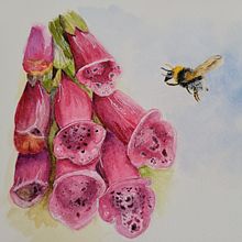 Bee and the flower. Un proyecto de Pintura a la acuarela de Edit Mason - 22.05.2022